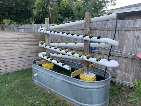 Hydroponic System Hydroponics System Hydroponics Garden Projects