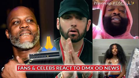 Fans And Celebrities React To DMX News Eminem Rick Ross Ice Cube LL Cool J Kid Cudi More