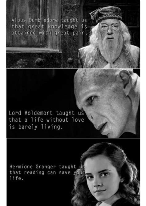 In the harry potter universe, there is a spell to fulfill any need, from the everyday to the extraordinary. Lustige Harry Potter Bilder | Harry potter hermine granger ...