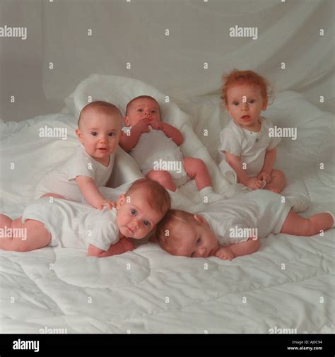 Five Babies Lying Together On Blankets In A Studio Setting Stock Photo
