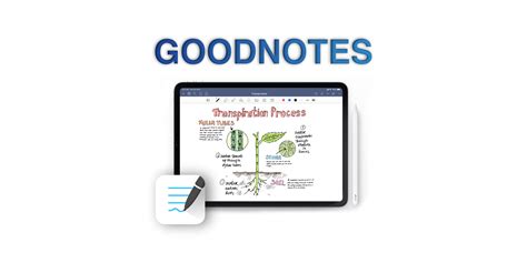 Goodnotes: ideální aplikace pro psaní poznámek na iPadu?
