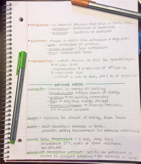 Anatomy Notes Template