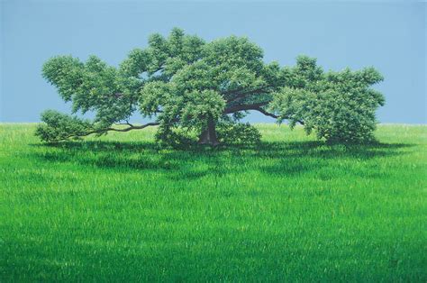 Original Oil Paintingslive Oak Trees Live Oak Trees