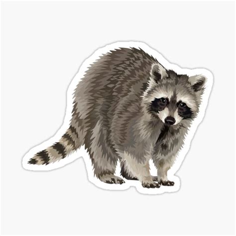 Raccoon Stickers Redbubble