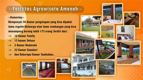 About Agrowisata Amanah