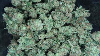 Weed Kush Bud Wallpapers Galaxy Nugs Marijuana