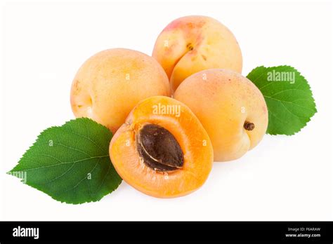 Apricot Fruits Green Leaf Isolated On White Stock Photo Alamy