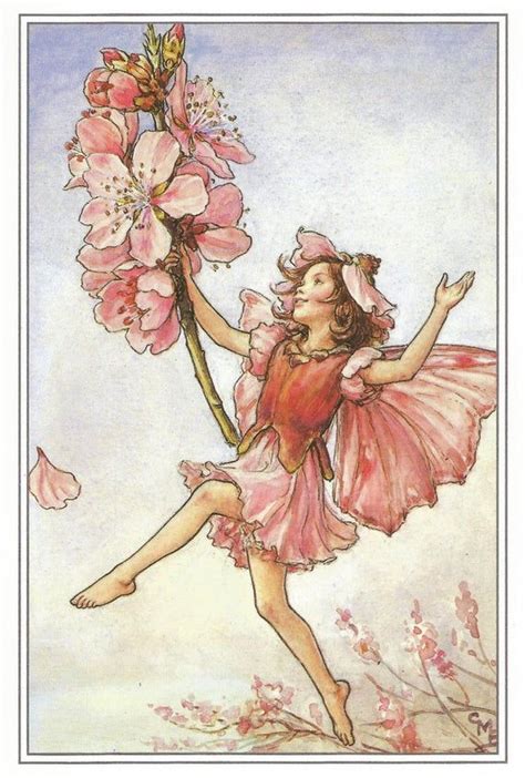 The Almond Blossom Fairy Cicely Mary Barker Flower Fairies Etsy