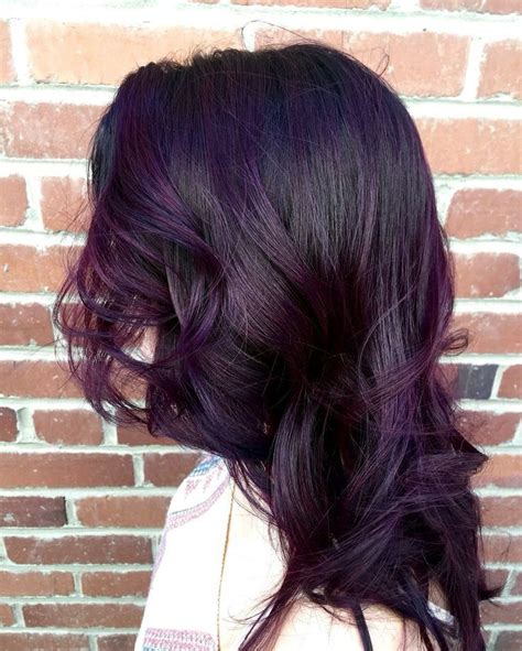 Best Vibrant And Chic Dark Purple Hair Colour Ideas Teinture Cheveux