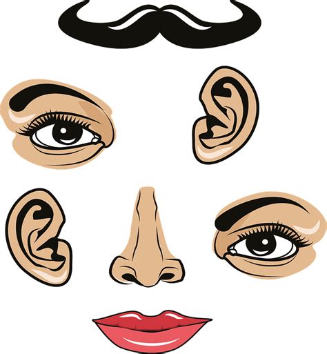 Parts Of The Face Printable