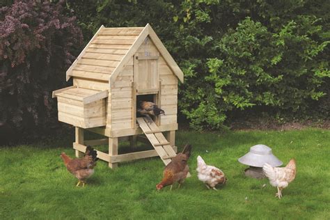 transforming your chicken coop into a stylish miniature house