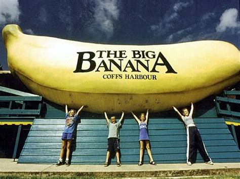 The Worlds Biggest Banana Australia Qqriq