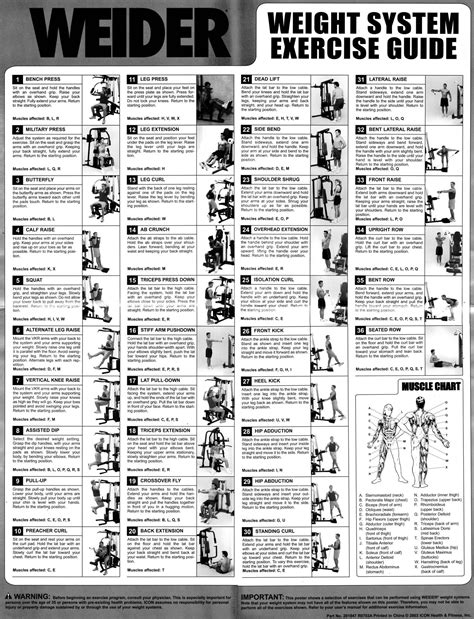 Weider Home Gym Exercises Charts And Free Pdf Plans