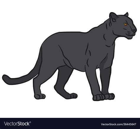 Black Panther Royalty Free Vector Image Vectorstock