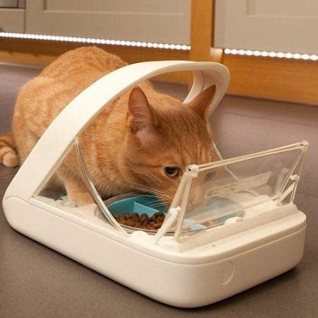 Any pet owner can tell you that feeding time is an important. 10 Best Automatic Cat Feeders In 2019 - Comprehensive Review