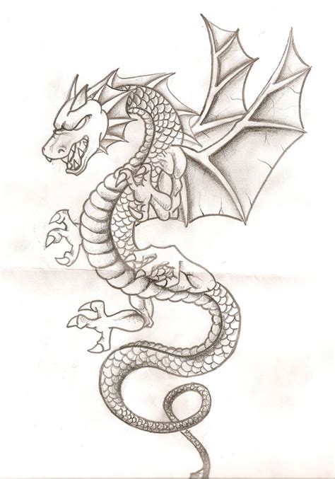 Dragon Esbozo De Dragón Dragon Para Dibujar Dibujo De Dragón