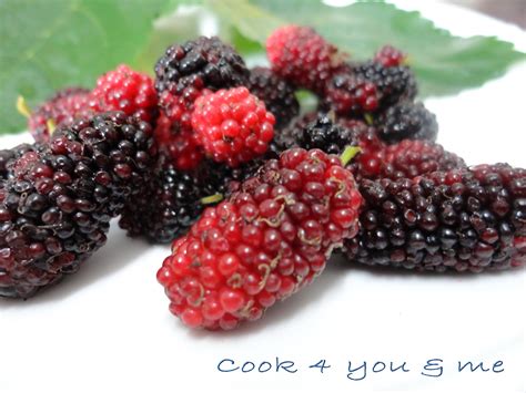 Cook 4 You & Me......: Mulberry Fruit & Traditional Mulberribs Fatt Koh