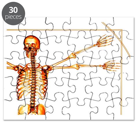 Human Skeleton Puzzle By Sciencephotos