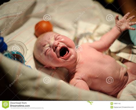 Newborn Baby Stock Photography Image 19801142