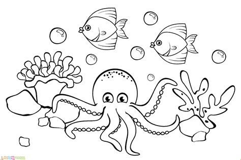 Sketsa Hewan Laut Mudah Homecare24