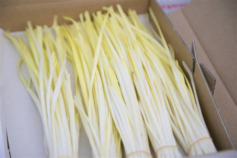 The Pursuit Of Sweetness Yellow Chives Grown By Teruyoshi Ueda Of Arch