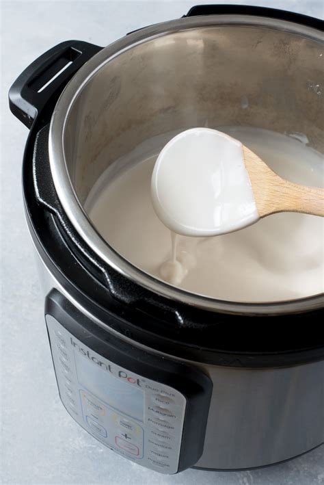 Making Instant Pot Coconut Yogurt Is Fool Proof And Way Cheaper Than