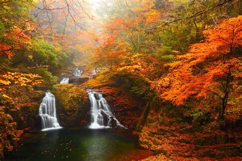 Where To Photograph Autumn Leaves In Japan 2 Spots Off The Beaten Track