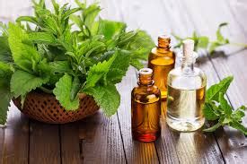Wholesale supplies plus is the leading distributor of essential oils that have been tested for purity. Mentha Citrata Essential Oil Manufacturers & Supplier