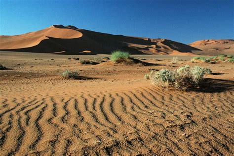 Desert Afternoon Namibian Desert B L A C K M A G I C Pleas Flickr