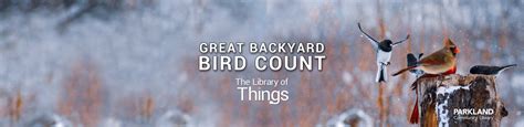 Get Outside With The Great Backyard Bird Count Parkland Library