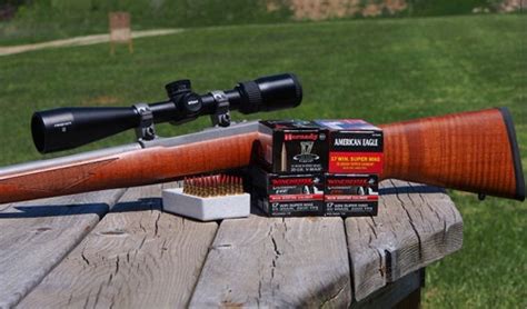 New Cci A17 17 Hmr Ammunition Hunt Report And Review Varminter Magazine