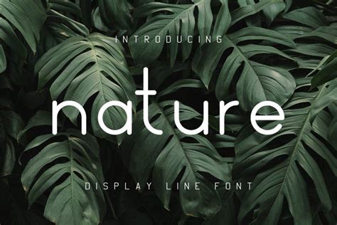 Nature Display Line Font Nature Font Line Display Type Tupefont