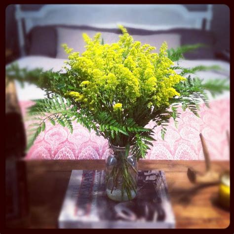Maybe you would like to learn more about one of these? Missouri Botanical Garden | Goldenrod flower, Missouri ...