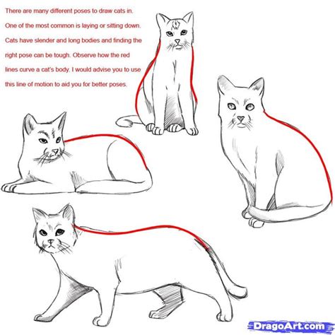 Whether it be realistically, easy, or simply, there is many. draw a cat | Realistic cat drawing, Realistic drawings ...