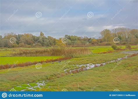 Meadow With Trees Under A Cloudy Autumn Sky In The Flemish Countryside