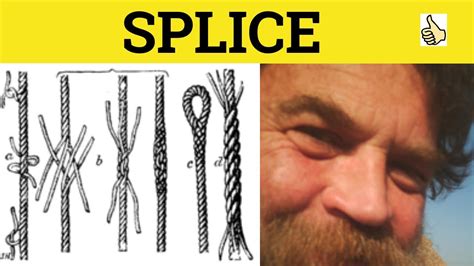 🔵 Splice Spliced Splice Meaning Splice Examples Splice Definition