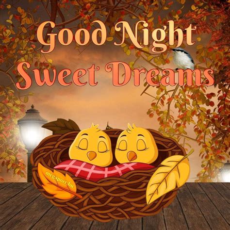 Cool Good Night Sweet Dreams Animation 2022