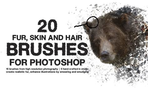 Fur Brushes For Photoshop By Go Media