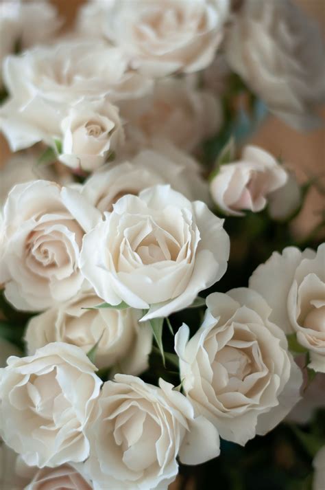 White Majolica Spray Roses By Ida Mayes Floristry Austin Wedding