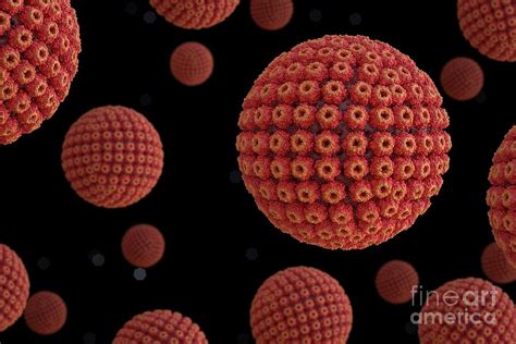 Herpes Virus Particles Photograph By Tim Vernon Science Photo Library