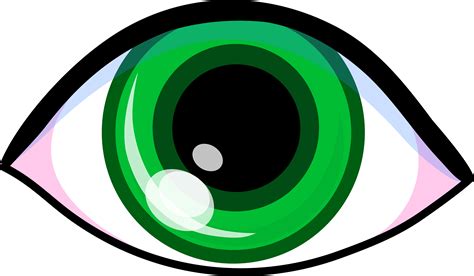 Eyeballs Clipart Green Eye Eyeballs Green Eye Transparent Free For