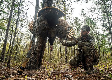 The Hunting Public Matches Wits With Alabama Turkeys Outdoor Alabama