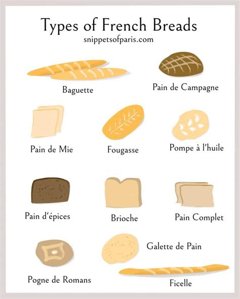 11 Popular Types Of French Breads Snippets Of Paris 2022