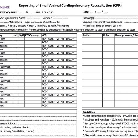 Recover Guidelines Explained In The Cpr Algorithm Download