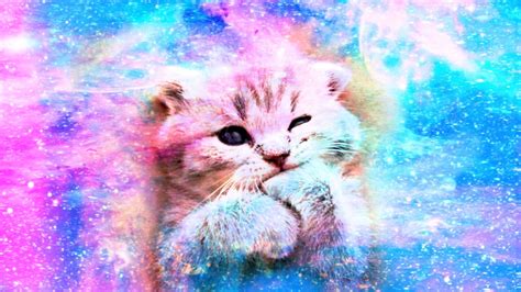 Cute Pink Cat Background