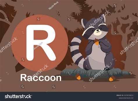 340 R Raccoon Bilder Stockfotos Und Vektorgrafiken Shutterstock