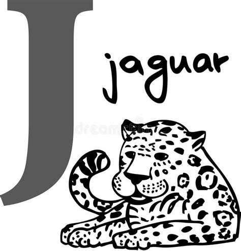 Animal Alphabet J Jaguar Stock Vector Illustration Of Vector 7596455