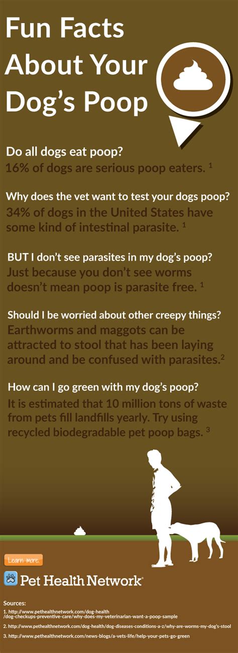 Infographic Fun Poop Facts