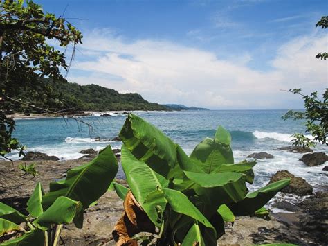 What To Do In Montezuma Costa Rica During The Off Season