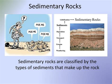 Ppt Sedimentary Rocks Powerpoint Presentation Free Download Id2247029
